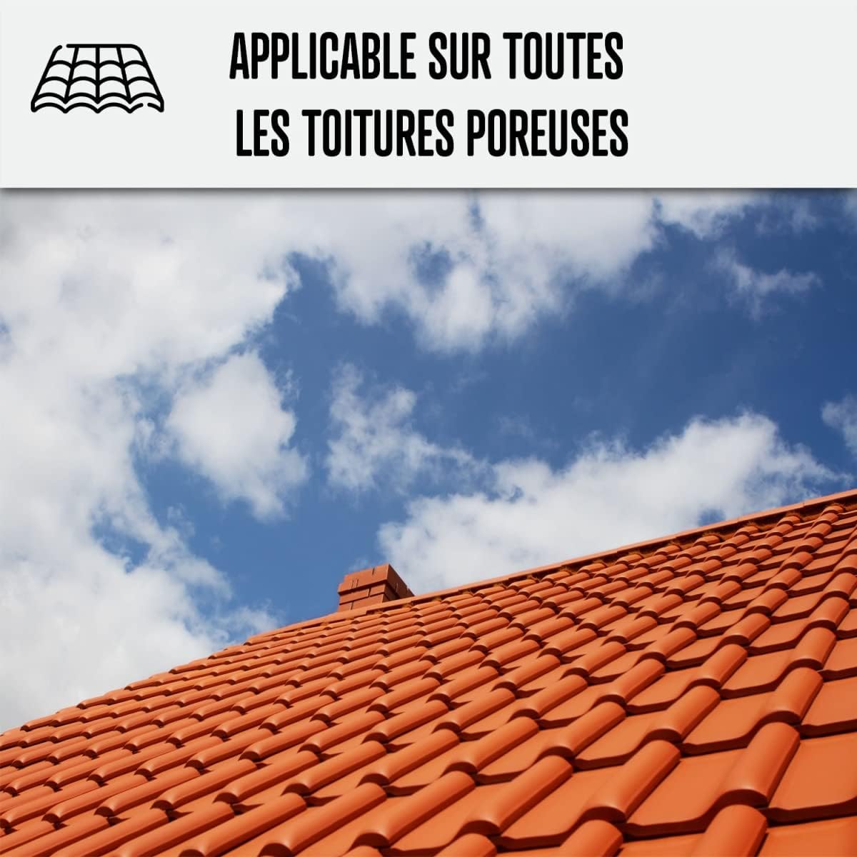 Hydrofuge Toiture Incolore, Tuiles, Béton, Pierre 20 L (jusqu'à 100 m²) | Imperméabilise, Traitement Hydrofuge, Protège des Taches, Toitures, Béton, Pierre et Supports Poreux - Arcane Industries